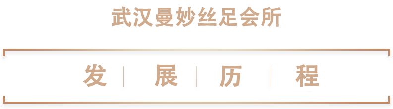 发展历程