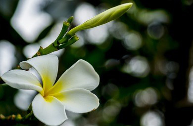 这个夏天就让我们一起来体验武汉丝袜按摩吧